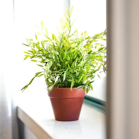 Casinhas Da Liberdade I - 1 Min To The Nazaré