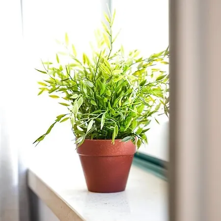 Apartman Casinhas Da Liberdade I - 1 Min To The